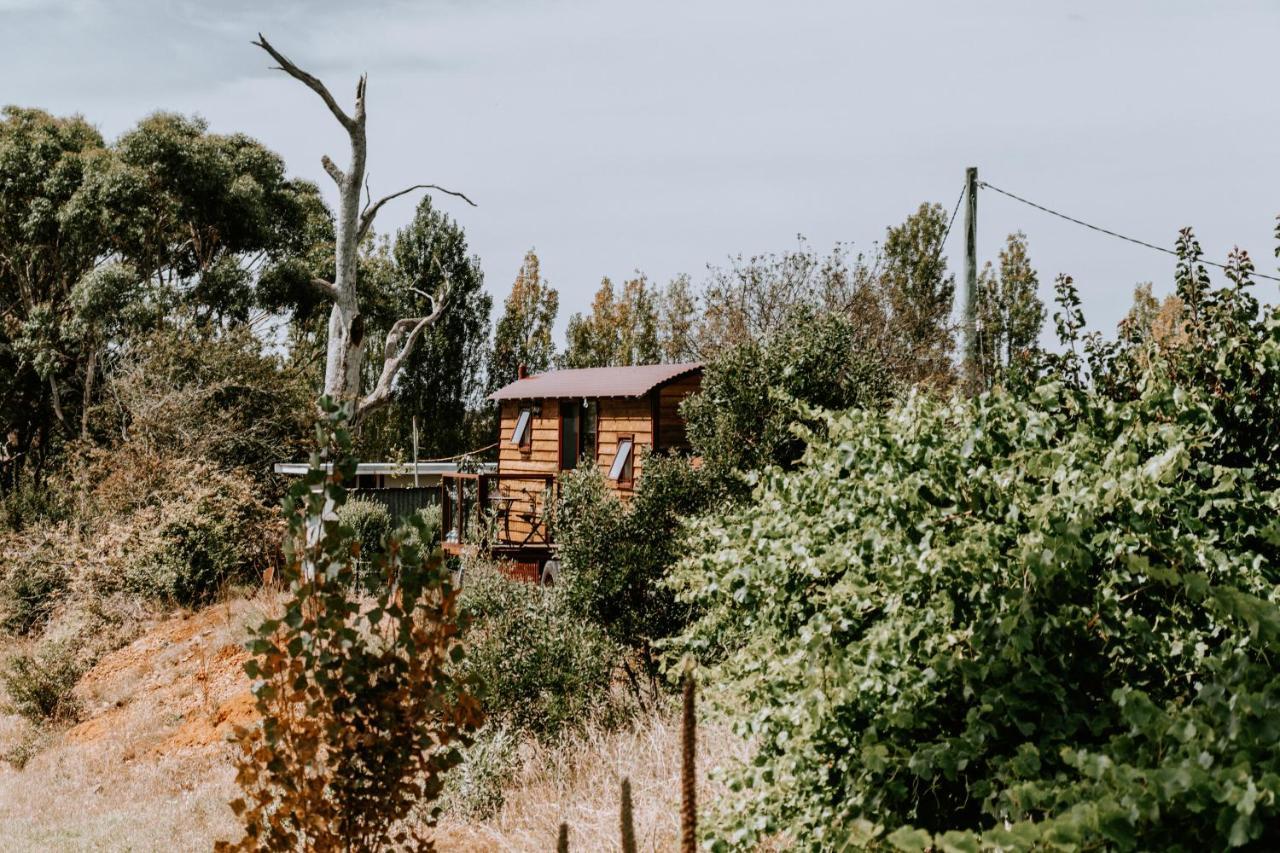 Belmont Homestead Swansea Dış mekan fotoğraf