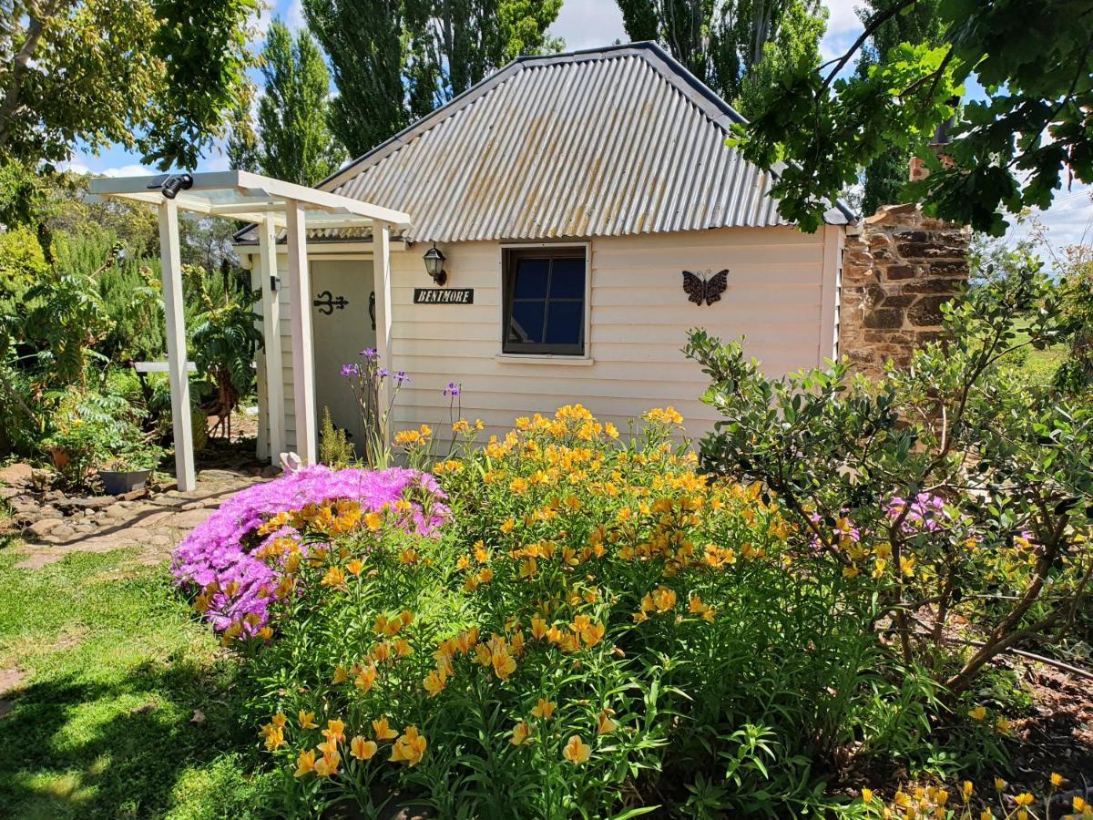 Belmont Homestead Swansea Dış mekan fotoğraf